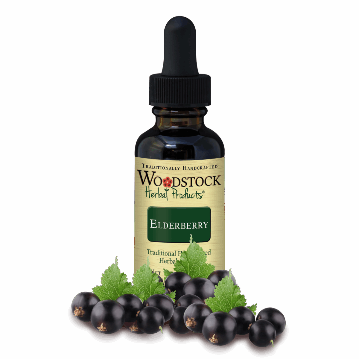 Elderberry