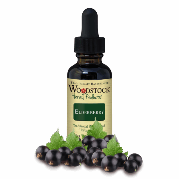 Elderberry