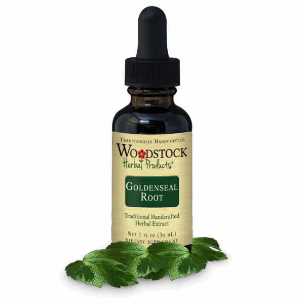 Goldenseal Root