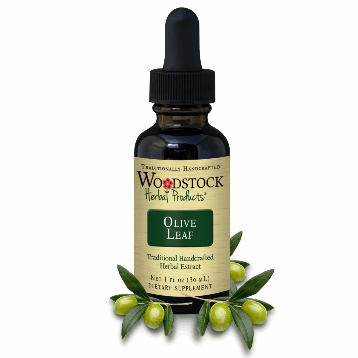 Olive Leaf