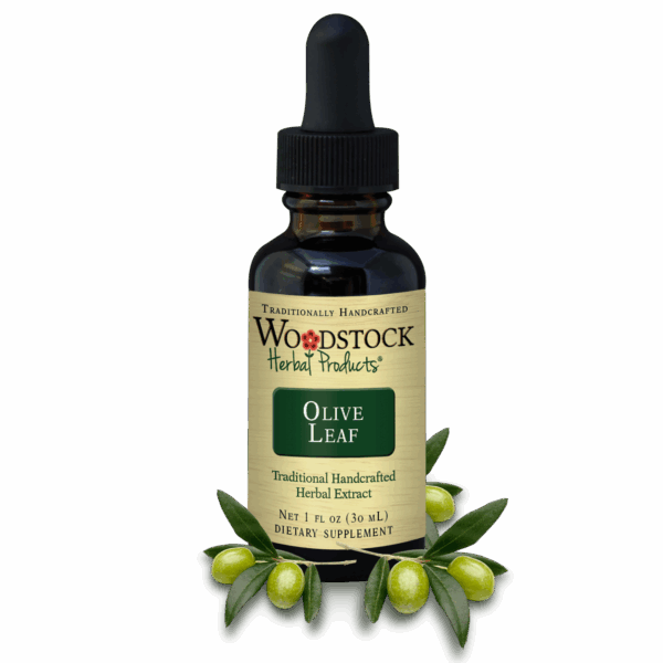 olive-leaf