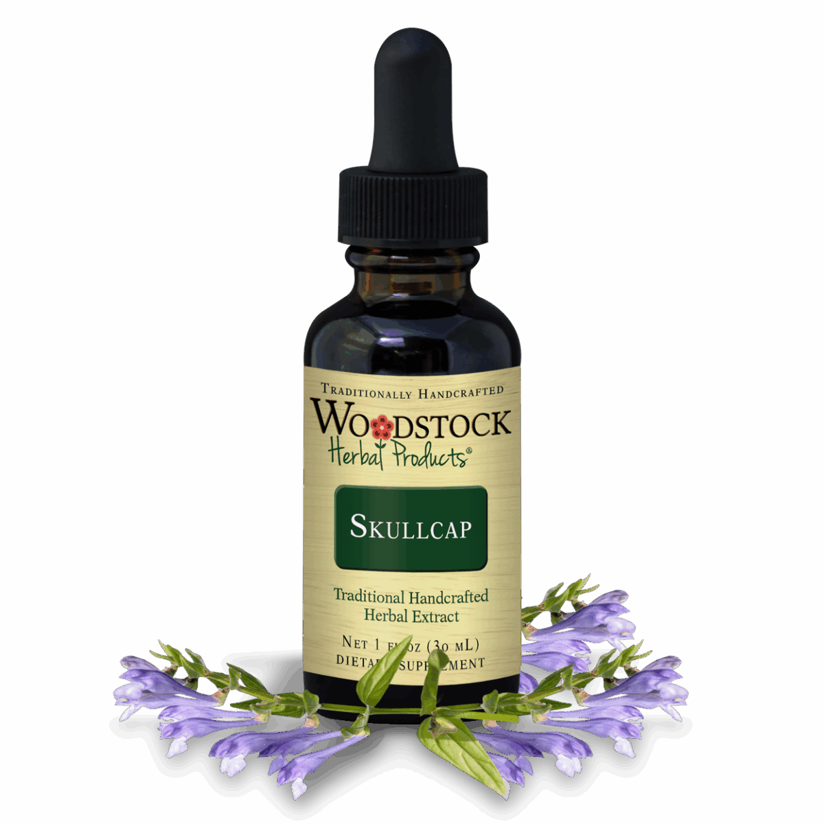 Skullcap